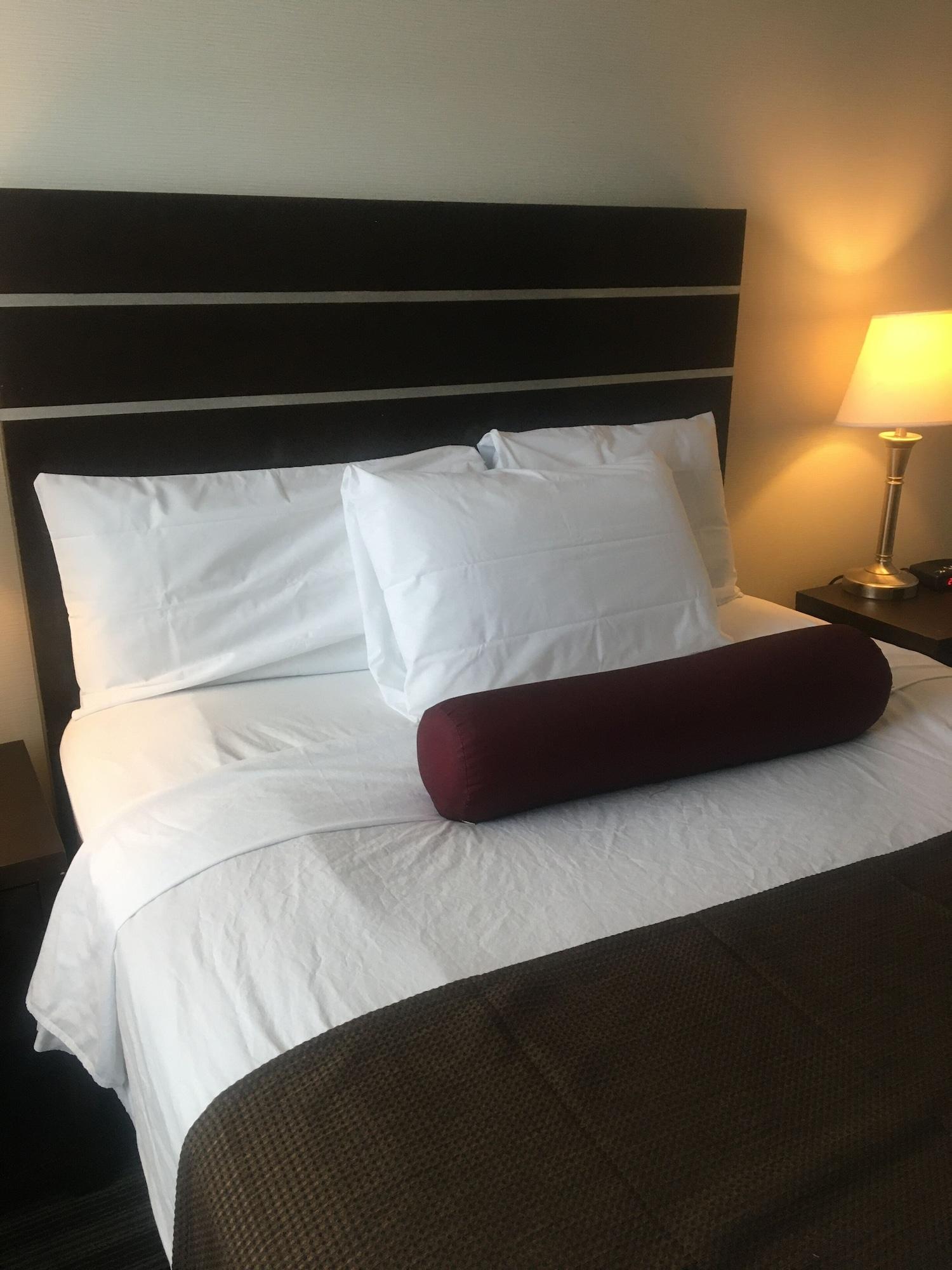 Super 8 By Wyndham Saskatoon Near Downtown Hotel Ngoại thất bức ảnh